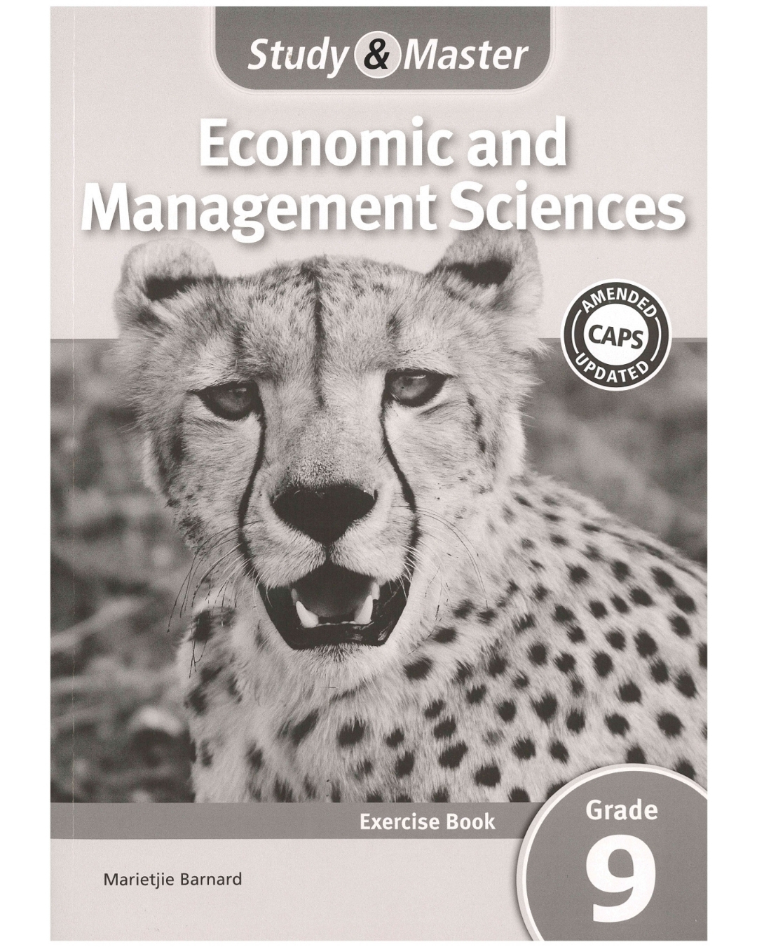 Study and Master Economic Management Sciences Grade 9 Exercise Book