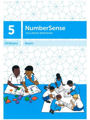 NumberSense Werkboek 5