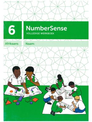 NumberSense Werkboek 6