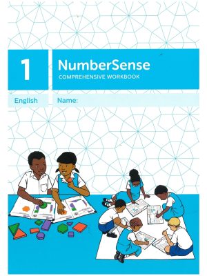 NumberSense Workbook 1