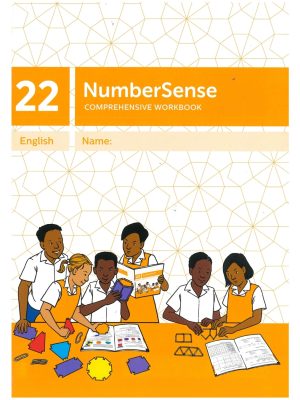 NumberSense Workbook 22