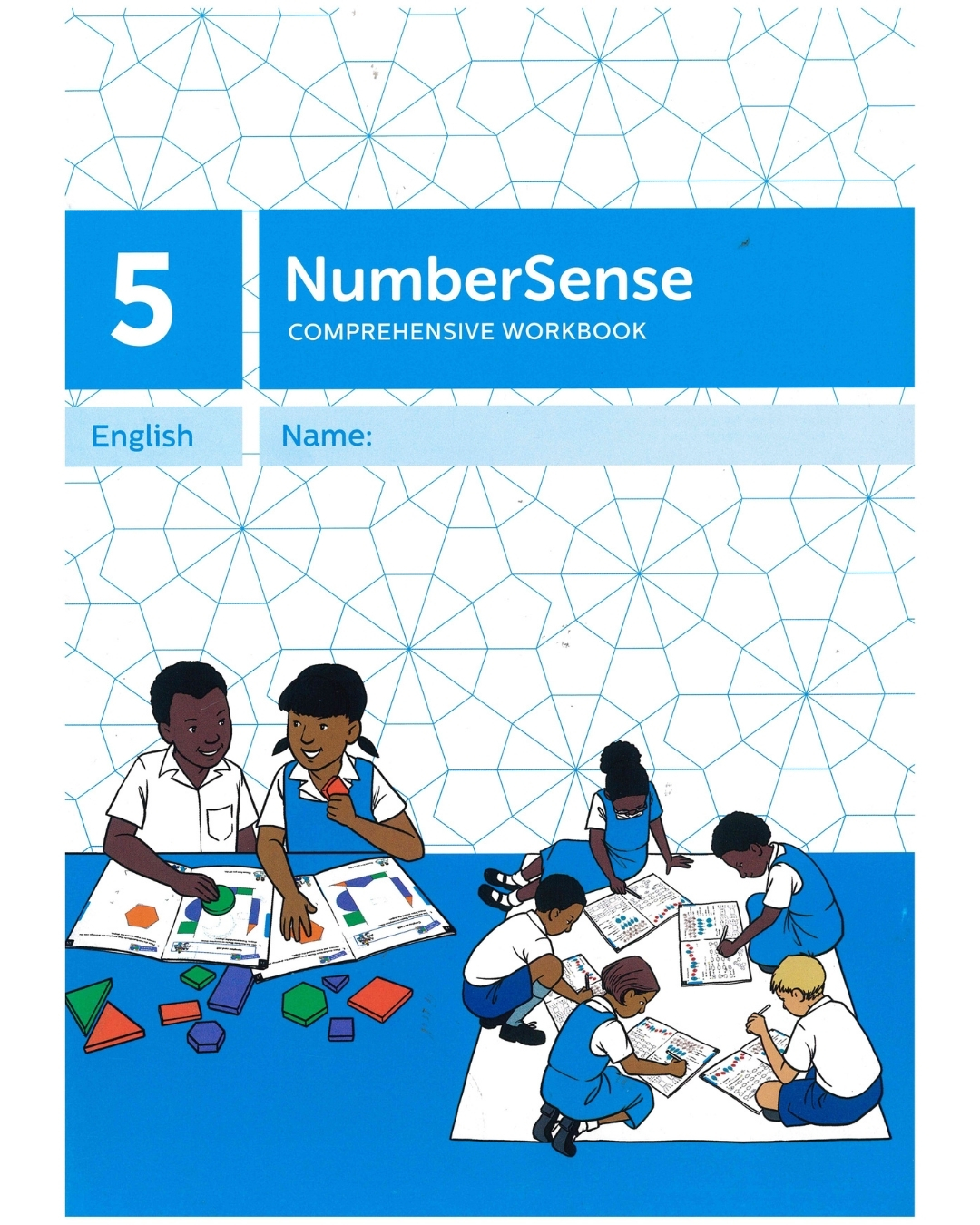 numbersense-workbook-5