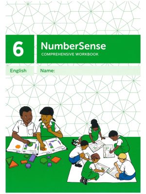 NumberSense Workbook 6