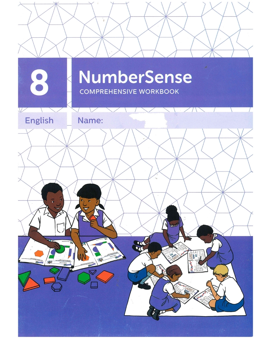 numbersense-workbook-8