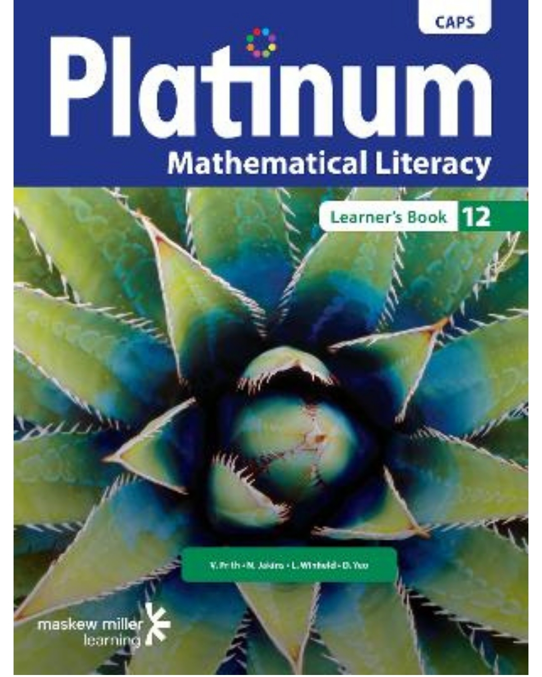 platinum-mathematical-literacy-grade-12-learner's-book